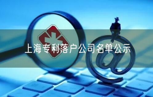 上海专利落户公司名单公示