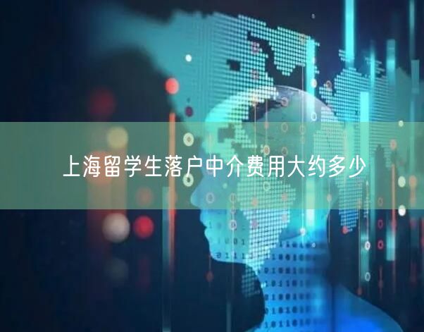 上海留学生落户中介费用大约多少