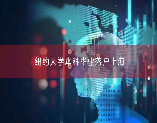 纽约大学本科毕业落户上海