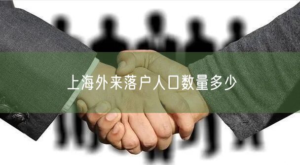 上海外来落户人口数量多少