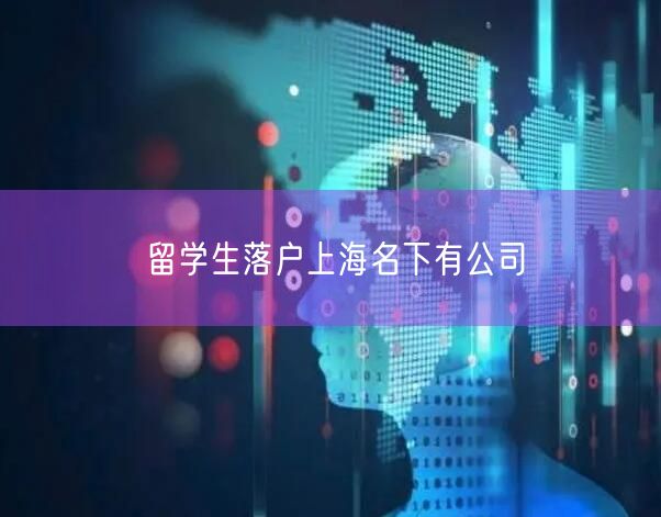 留学生落户上海名下有公司