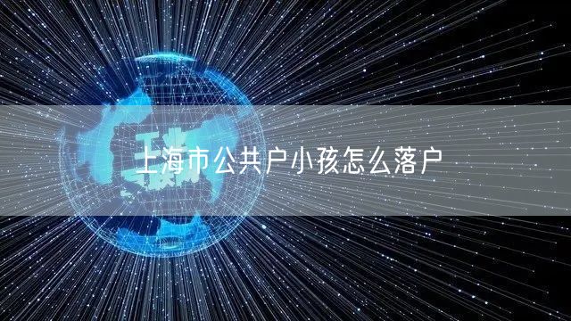 上海市公共户小孩怎么落户