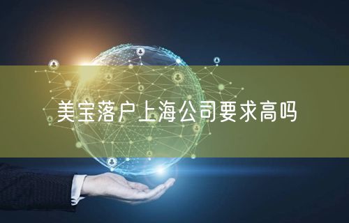 美宝落户上海公司要求高吗