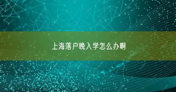 上海落户晚入学怎么办啊