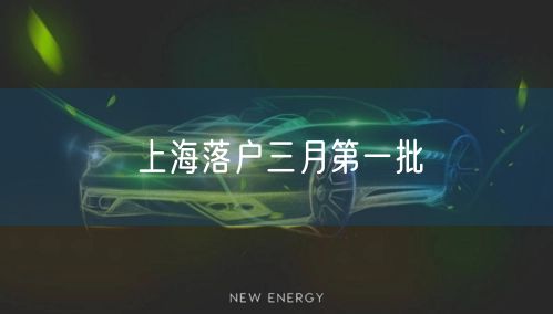 上海落户三月第一批