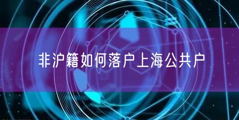 非沪籍如何落户上海公共户