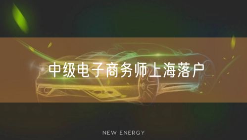 中级电子商务师上海落户