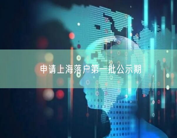 申请上海落户第一批公示期