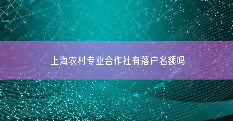 上海农村专业合作社有落户名额吗