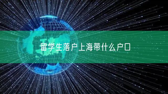 留学生落户上海带什么户口