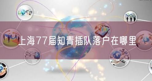 上海77届知青插队落户在哪里