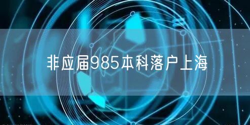 非应届985本科落户上海