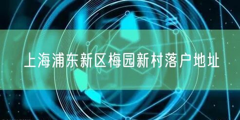 上海浦东新区梅园新村落户地址