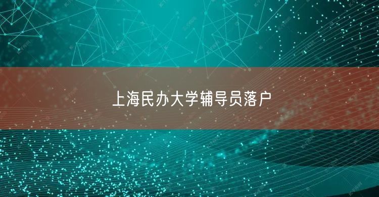 上海民办大学辅导员落户