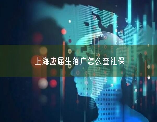 上海应届生落户怎么查社保