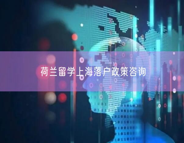 荷兰留学上海落户政策咨询