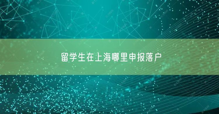 留学生在上海哪里申报落户