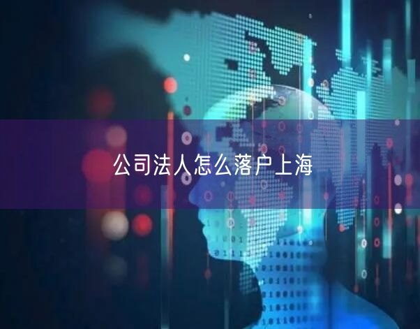 公司法人怎么落户上海