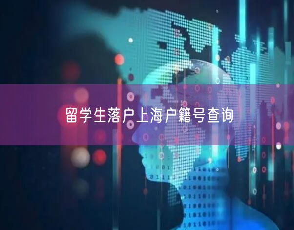 留学生落户上海户籍号查询