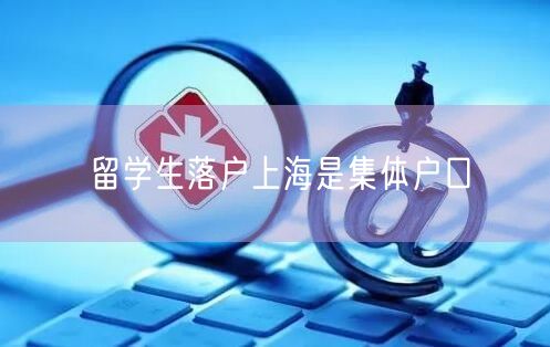 留学生落户上海是集体户口