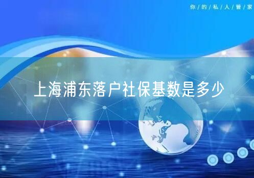 上海浦东落户社保基数是多少