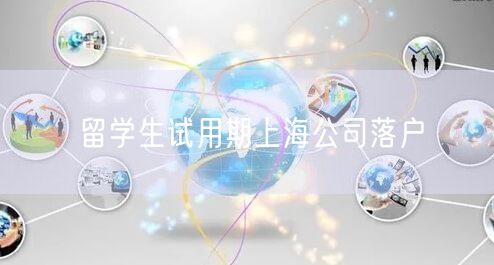 留学生试用期上海公司落户