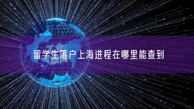 留学生落户上海进程在哪里能查到