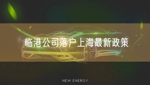 临港公司落户上海最新政策