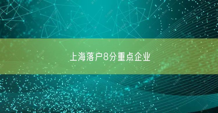 上海落户8分重点企业