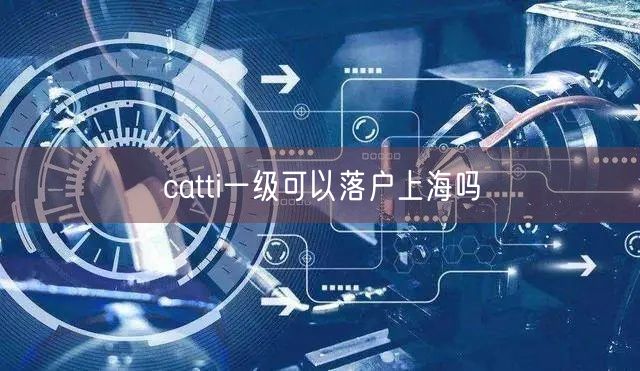 catti一级可以落户上海吗