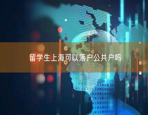 留学生上海可以落户公共户吗