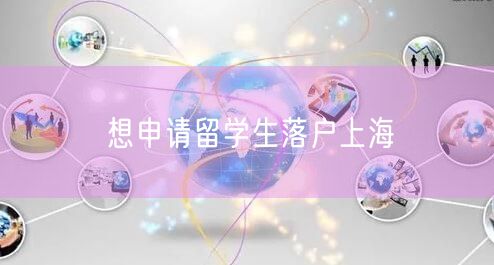 想申请留学生落户上海