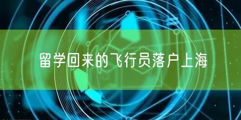 留学回来的飞行员落户上海