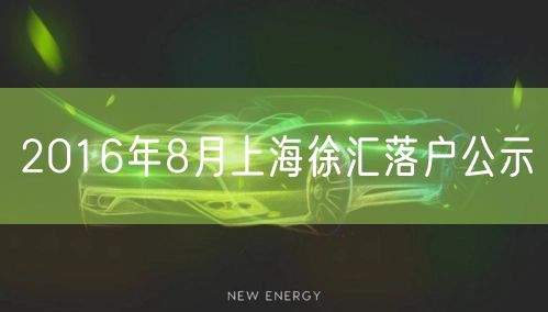 2016年8月上海徐汇落户公示