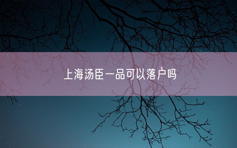 上海汤臣一品可以落户吗