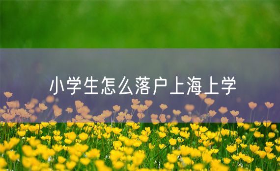 小学生怎么落户上海上学