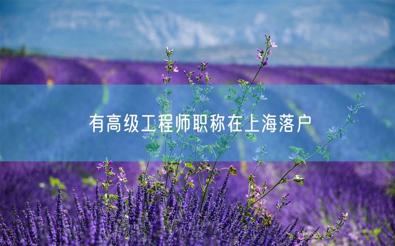 有高级工程师职称在上海落户