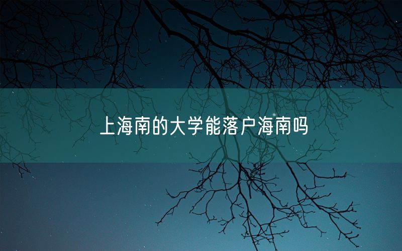 上海南的大学能落户海南吗