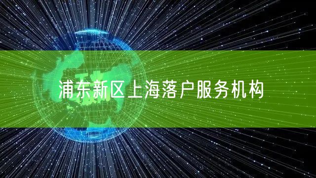 浦东新区上海落户服务机构