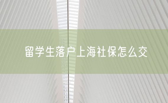 留学生落户上海社保怎么交