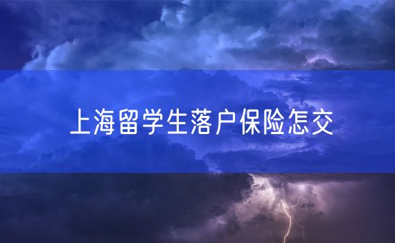 上海留学生落户保险怎交