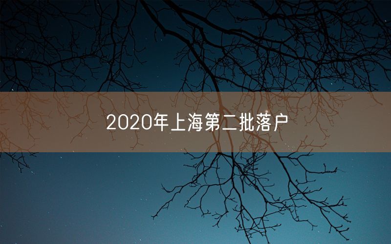 2020年上海第二批落户