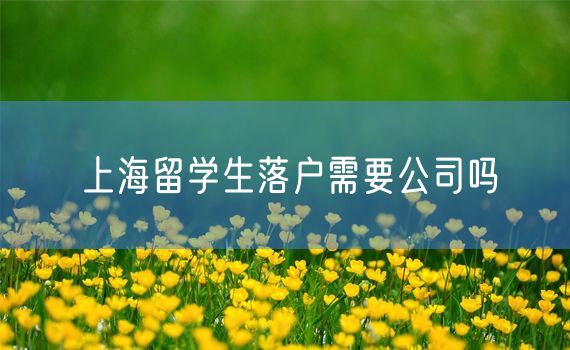 上海留学生落户需要公司吗