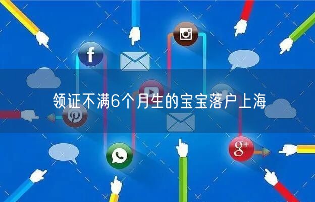 领证不满6个月生的宝宝落户上海