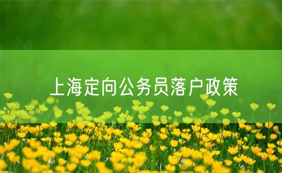 上海定向公务员落户政策