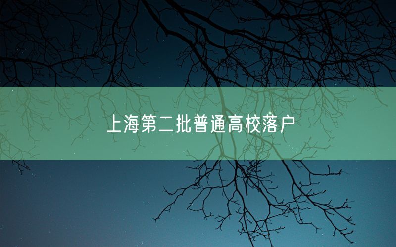 上海第二批普通高校落户