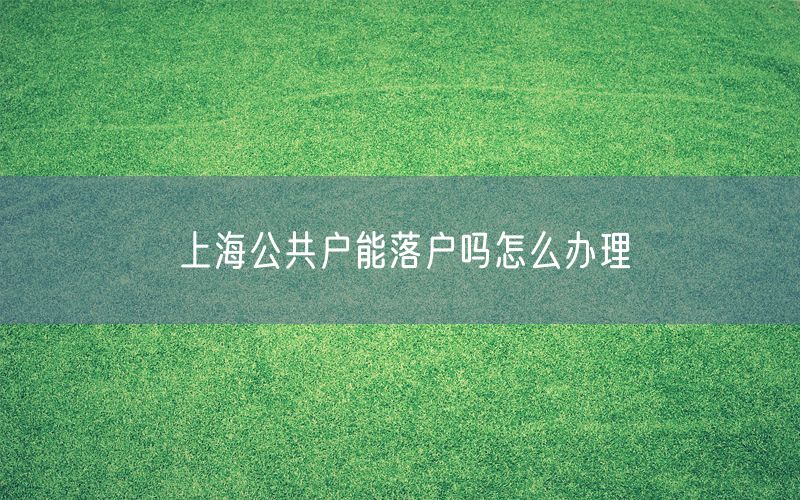 上海公共户能落户吗怎么办理