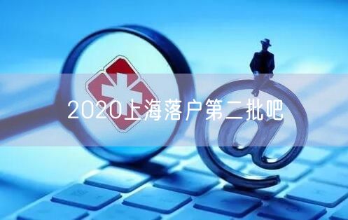 2020上海落户第二批吧