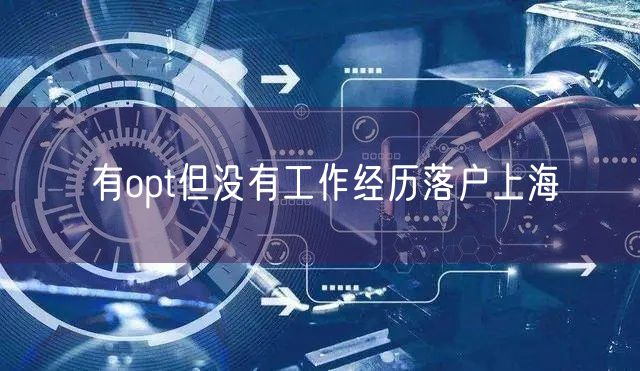 有opt但没有工作经历落户上海