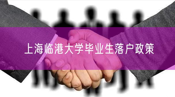 上海临港大学毕业生落户政策